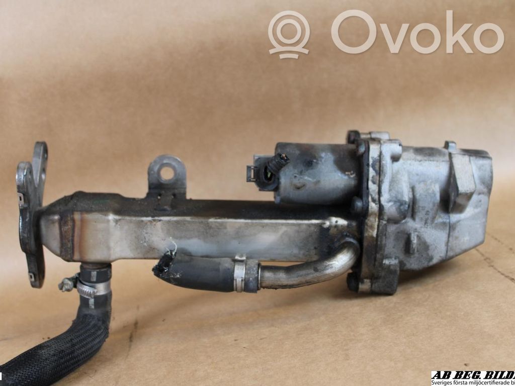 Volvo S80 EGR vožtuvas