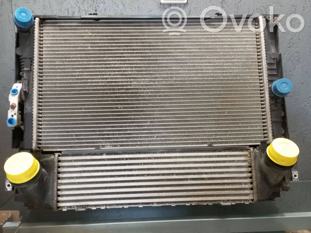 BMW 3 F30 F35 F31 Set del radiatore 