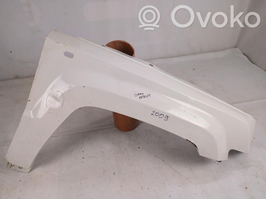 Jeep Compass Sparnas 