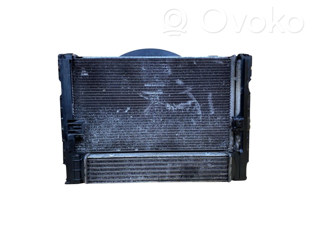 Radiator set   7788906,17427788906,11074810,16326937515,17107524912,17107524914,17117788903,3114Z009,3570809,4094818,6937515,7524912,7524914,7788903,7798788,781023902