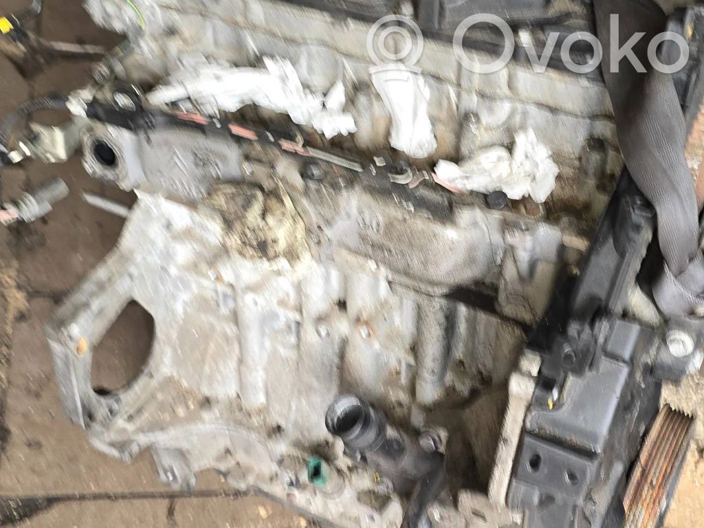 Motor   10FDBW