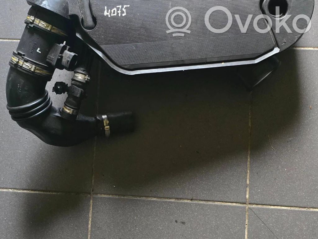 Peugeot Bipper Luftfilterkasten 