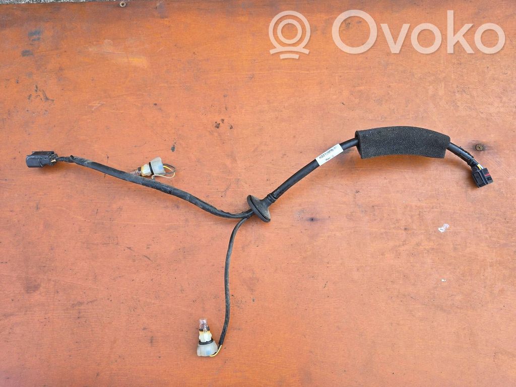 Camara trasera coche   402100053,40210005