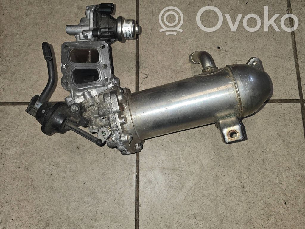 Válvula EGR   525828100,052240612ARB0A