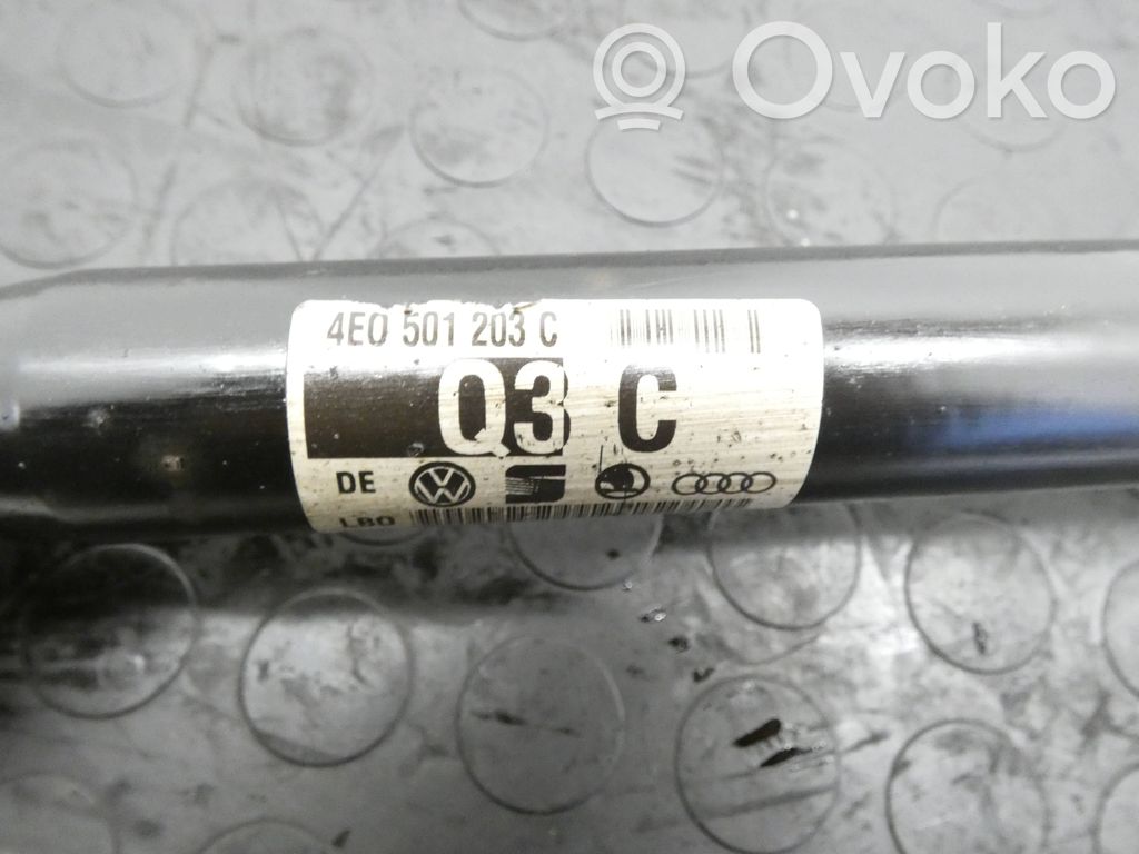 Galinis pusašis   4E0501203C