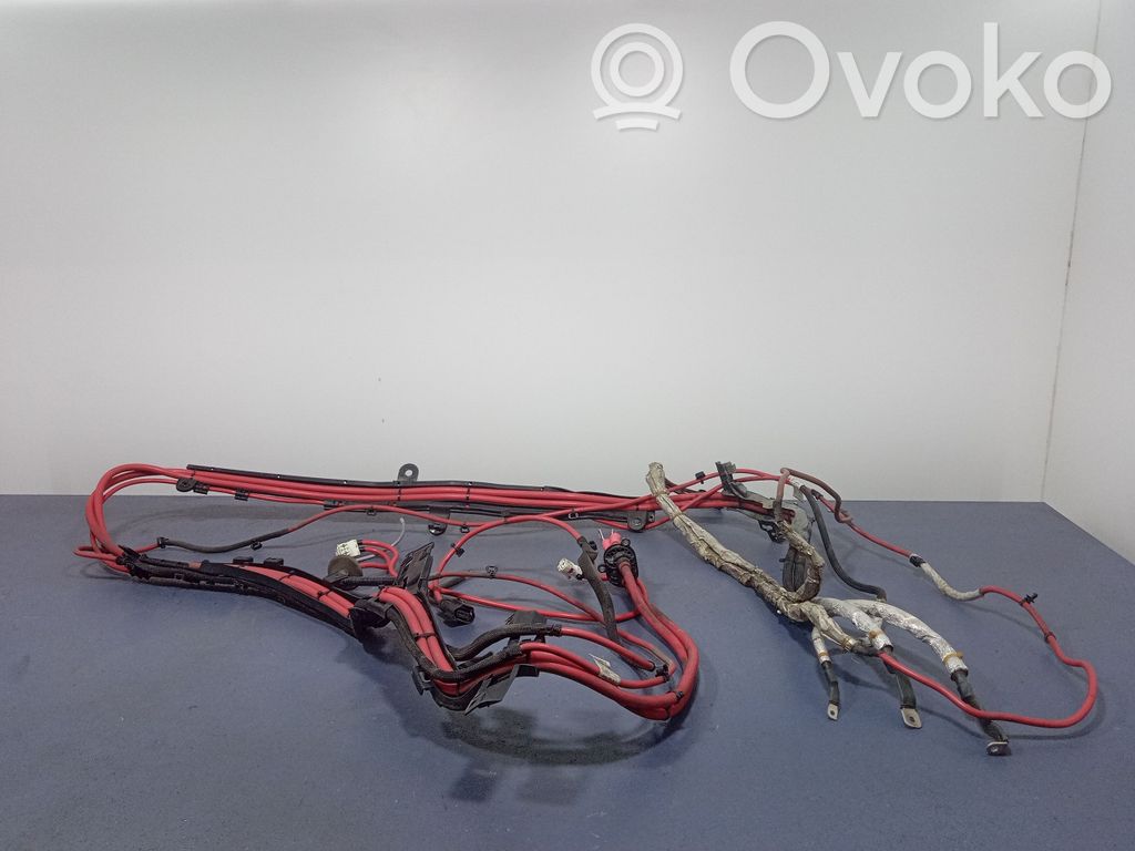 BMW 7 F01 F02 F03 F04 Alte cablaje 