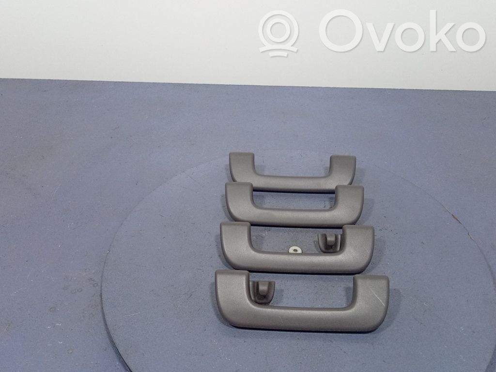 Asidero interior delantero