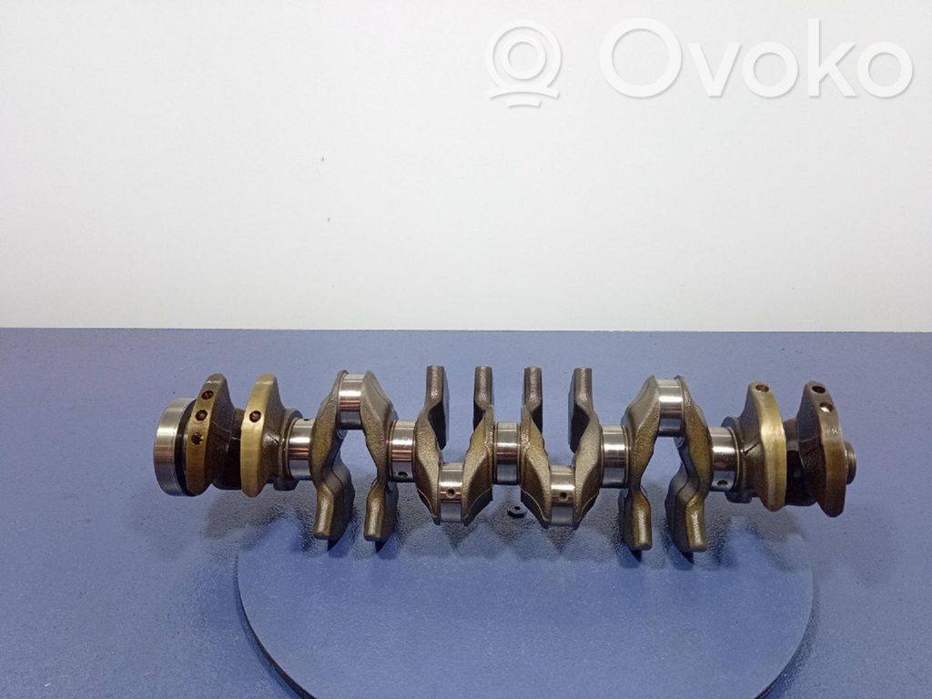 Albero motore   8095728,8095728