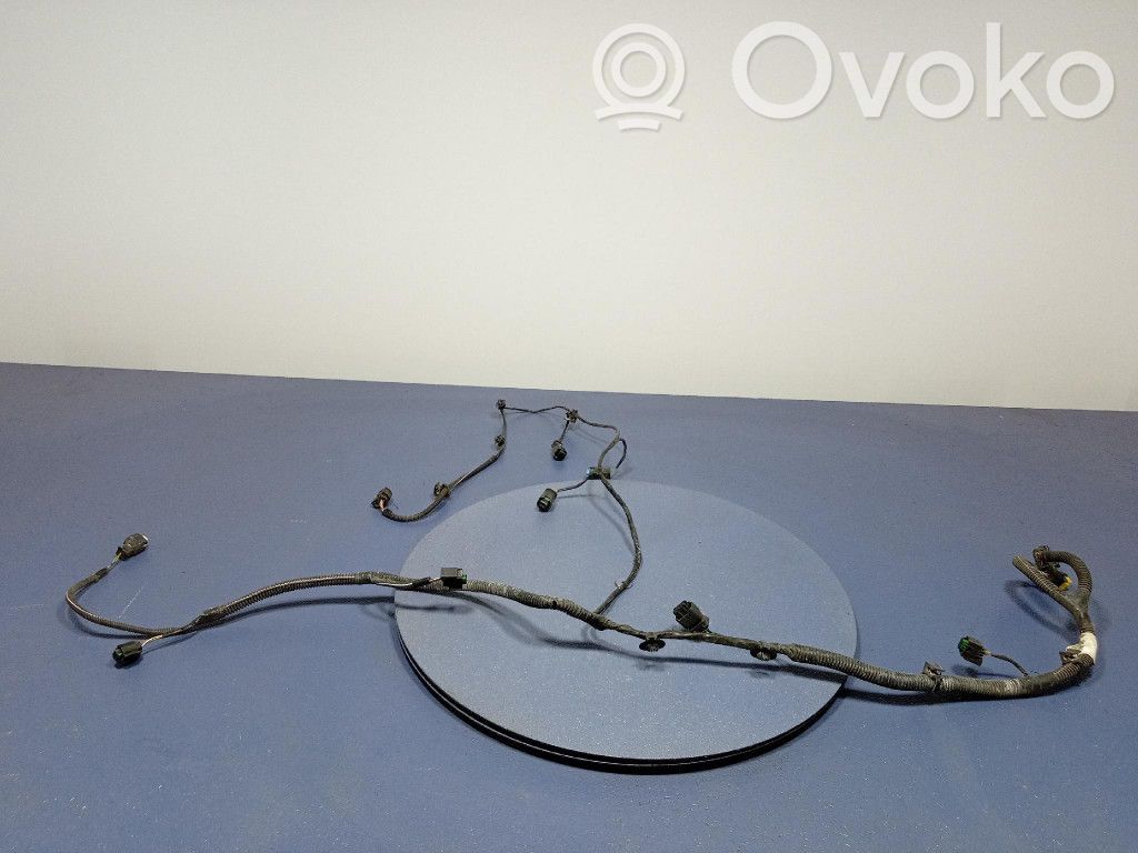 Citroen DS5 Otros cableados 