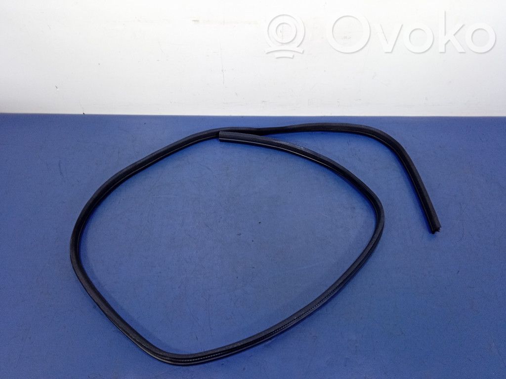 Front door rubber seal