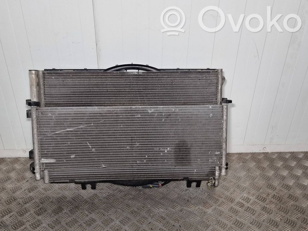 Tesla Model X Radiator set 