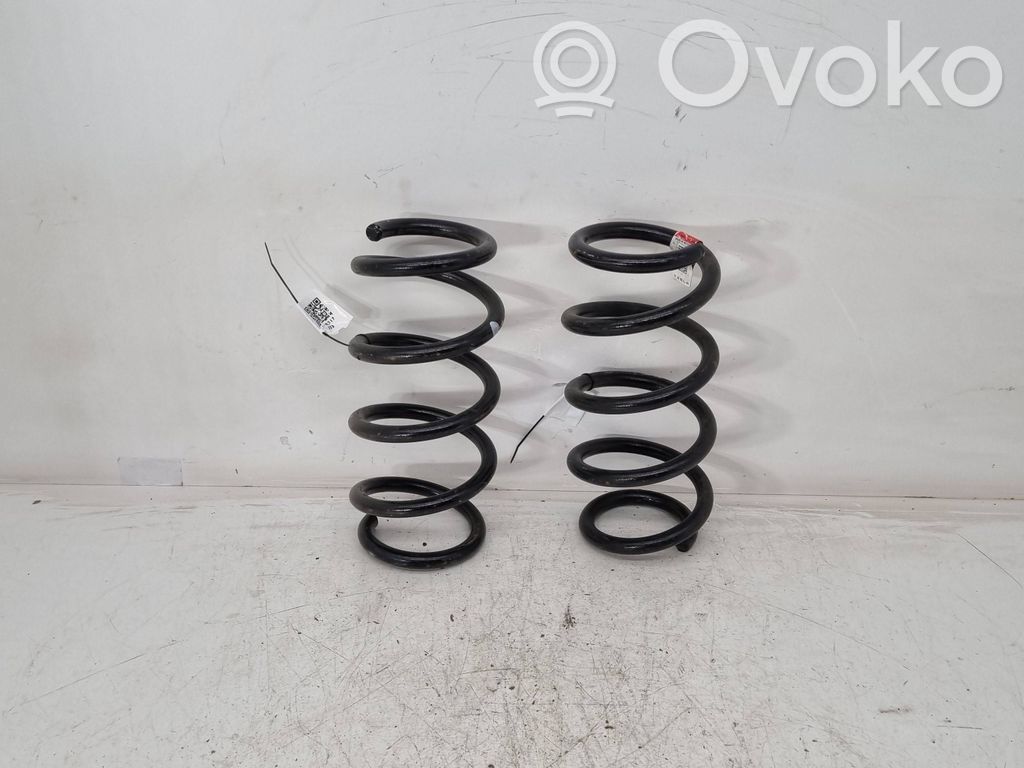 Muelle espiral trasero   104447201E