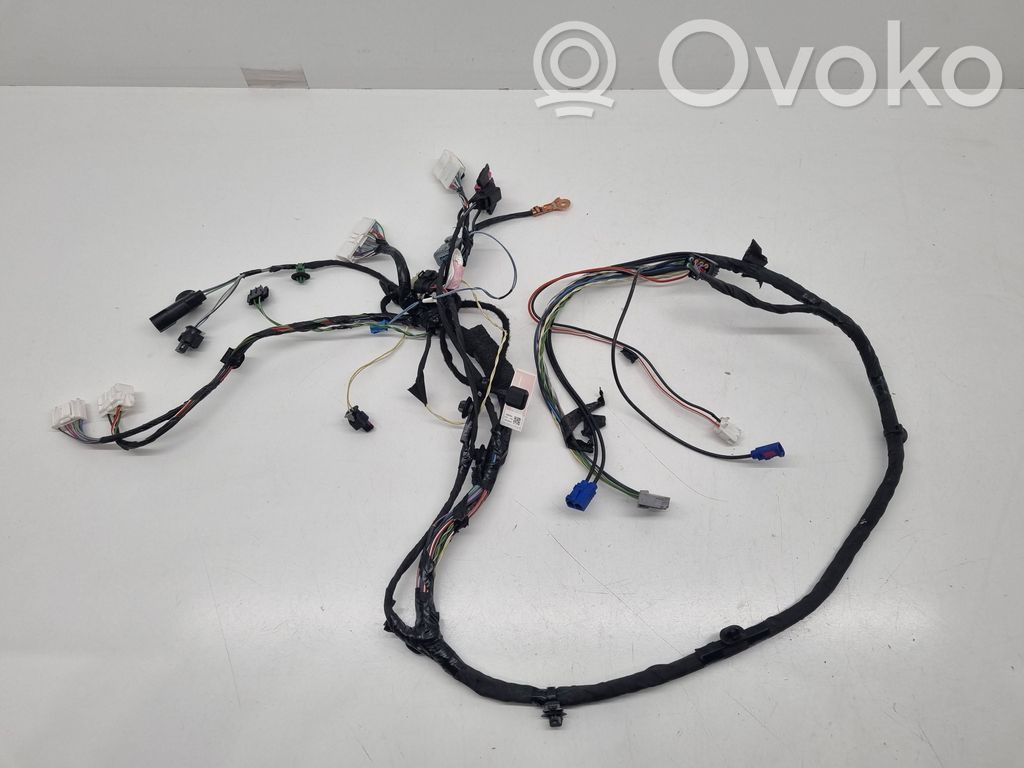 Tesla Model X Cableado de puerta delantera 