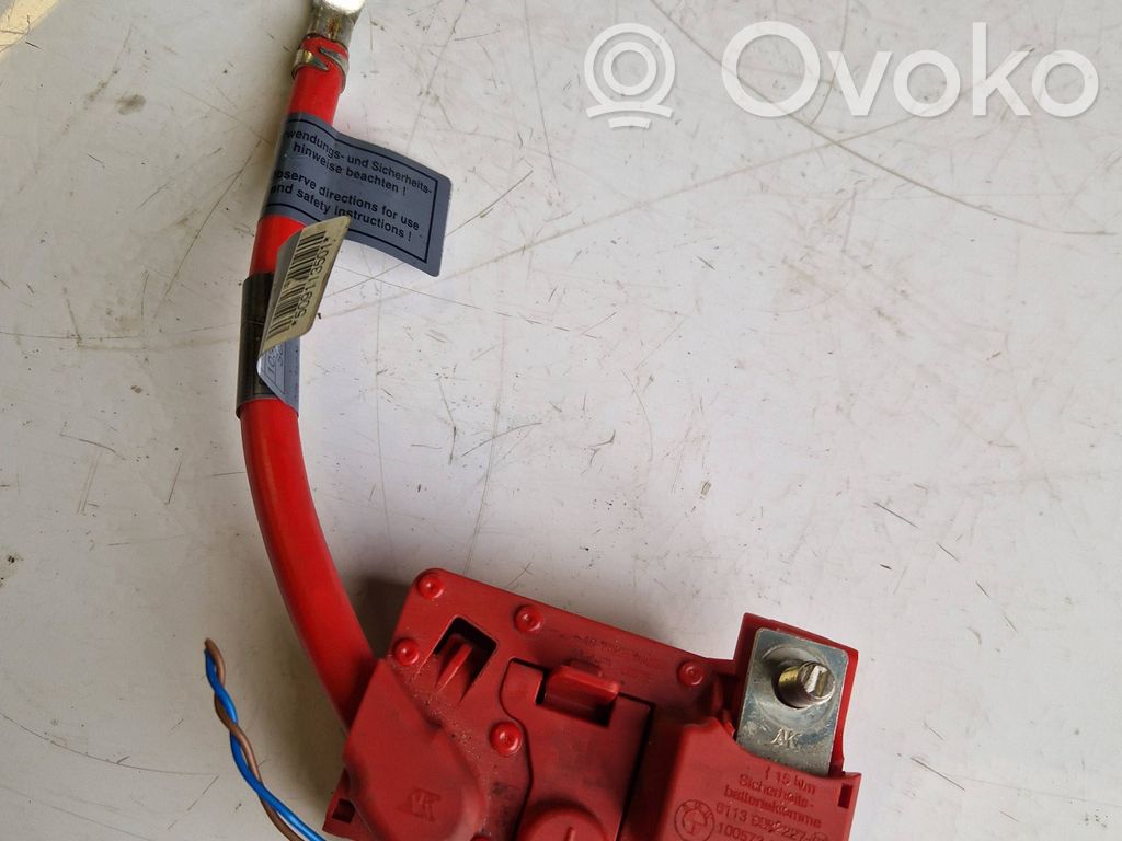 Positive cable (battery)   9130879