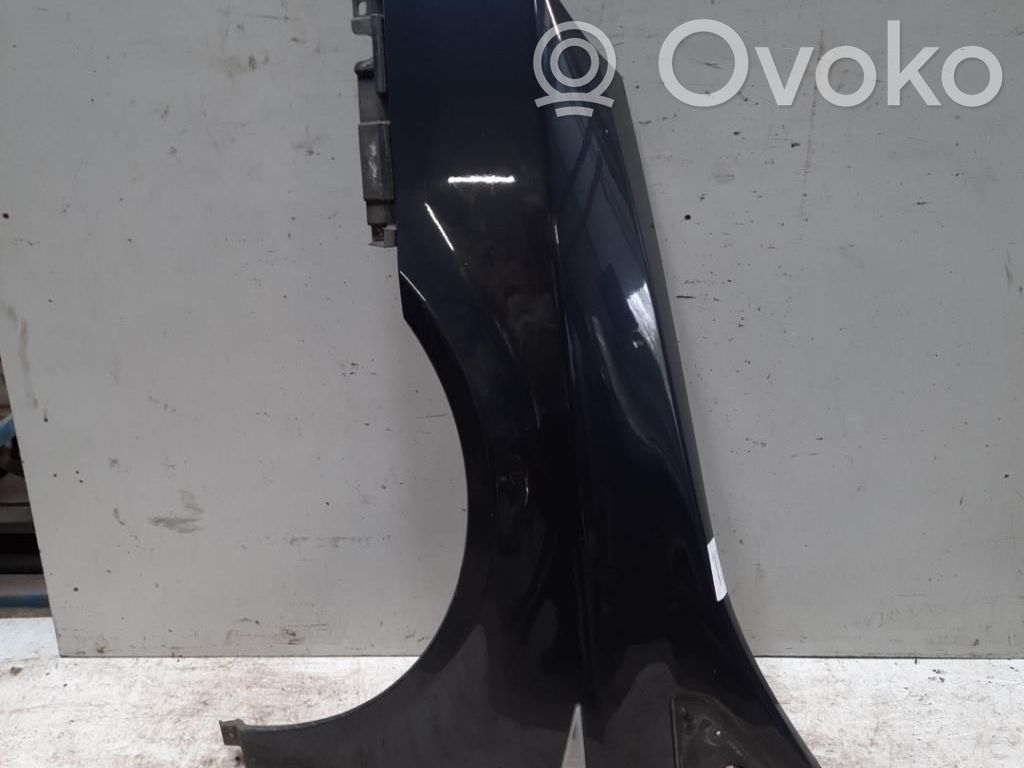 Renault Vel Satis Sparnas 