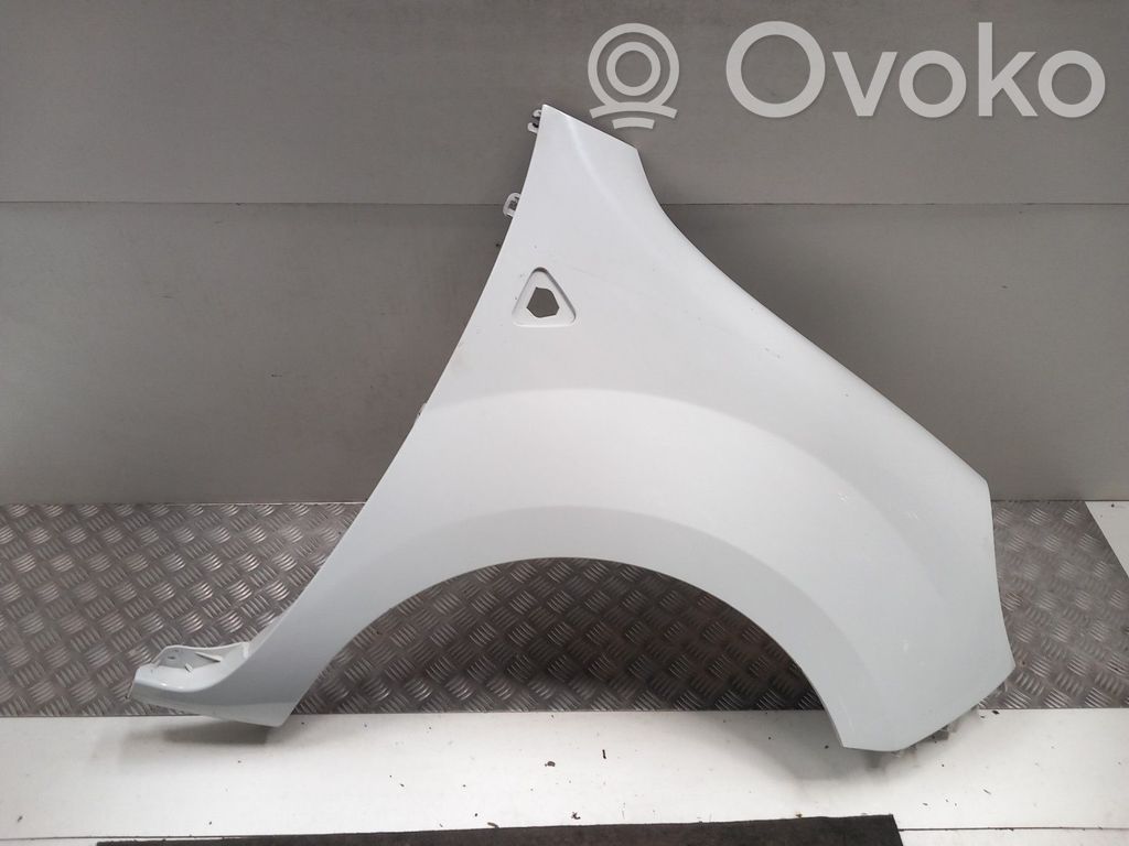 Renault Kangoo II Fender 