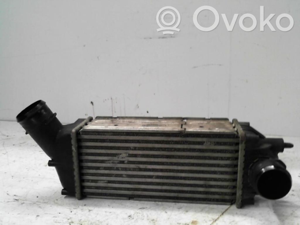 Peugeot 307 Intercooler radiator 