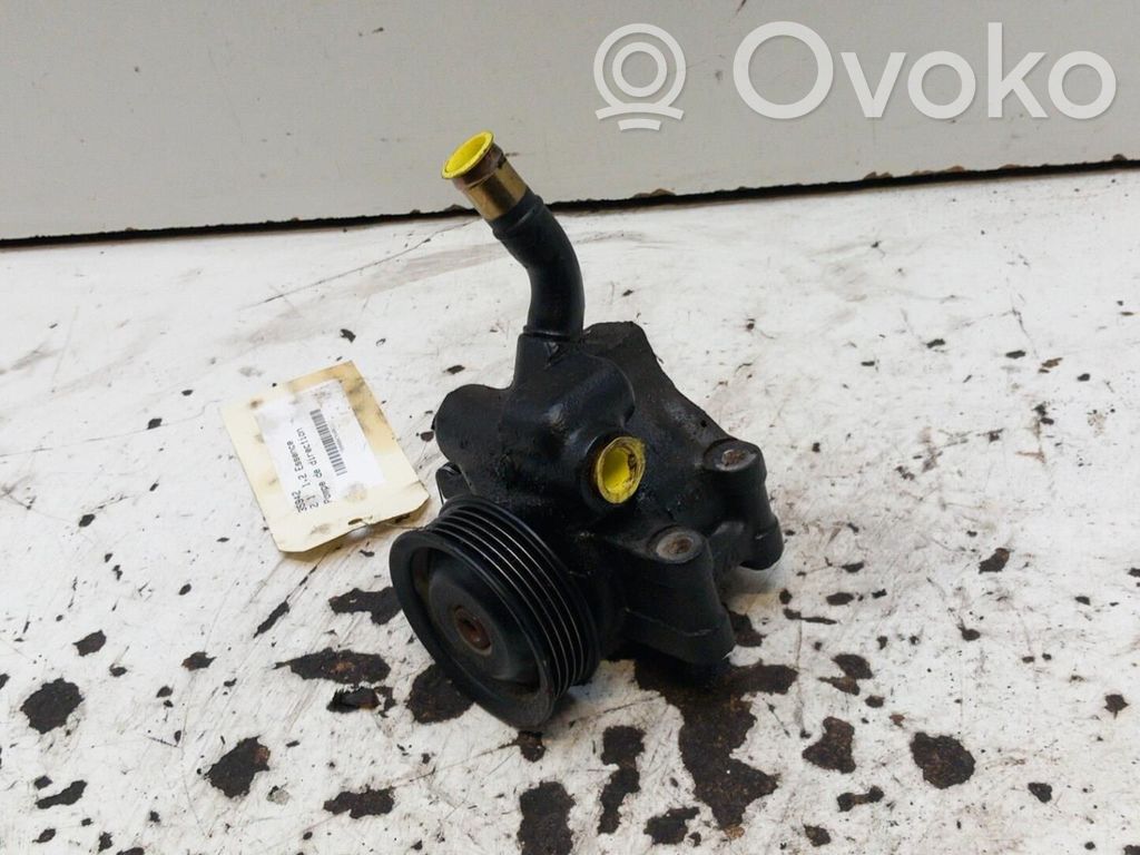 Power steering pump   DE9132600C