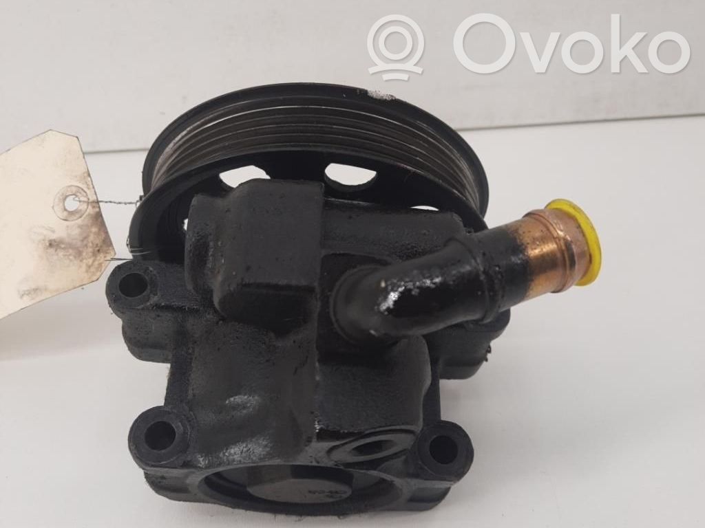 Power steering pump   1371089