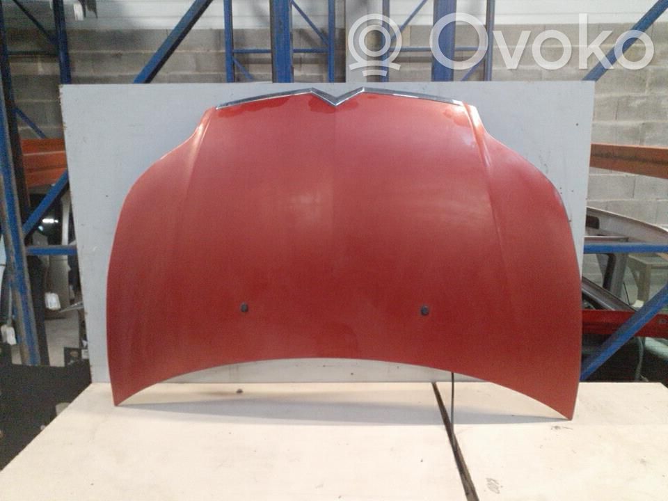 Konepelti   7901L1