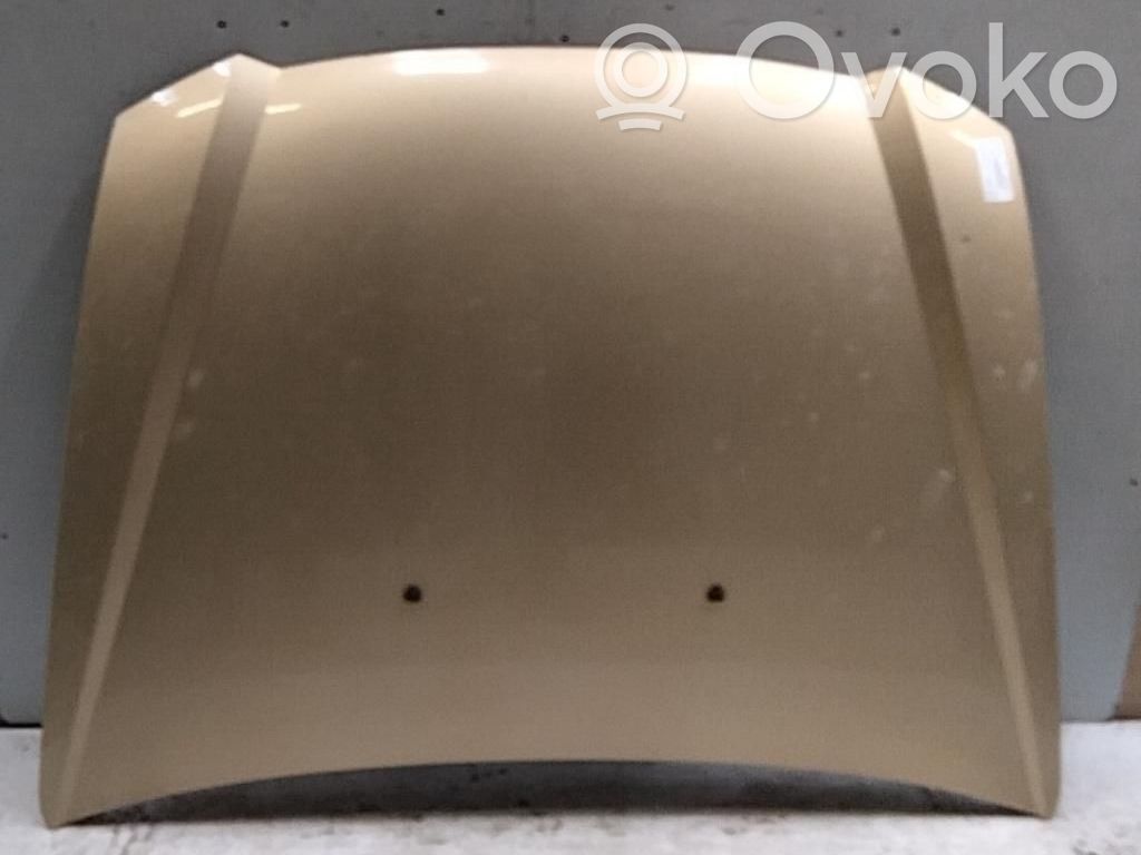 Fiat Stilo Dzinēja pārsegs (vāks) 