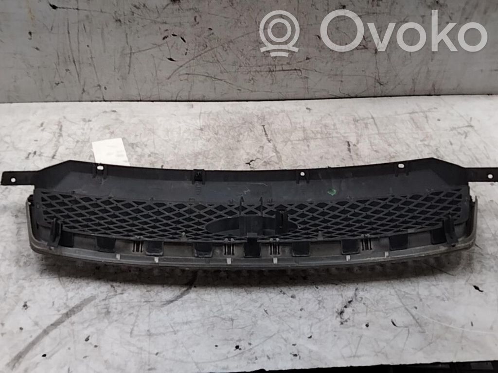 Front grill   1371893