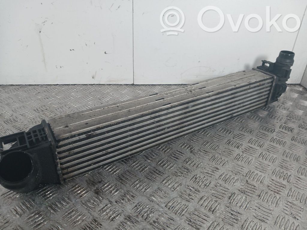 Intercooler radiator   8200880552