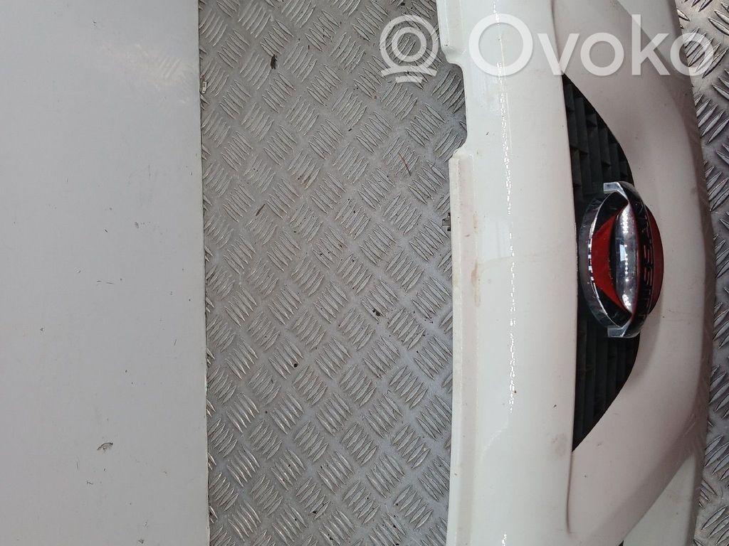 Atrapa chłodnicy / Grill   623102X900