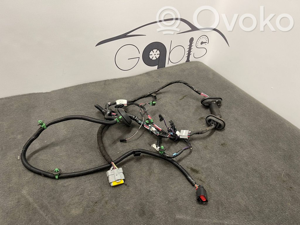 Tesla Model S Cableado de puerta trasera 