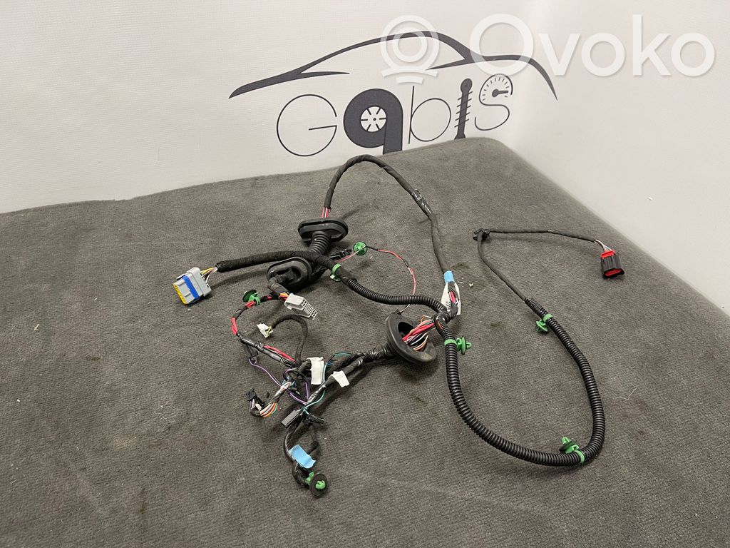 Cableado de puerta trasera   100442600R