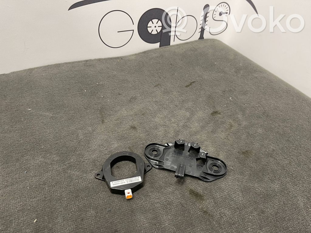 Tesla Model S Antenos stiprintuvas 
