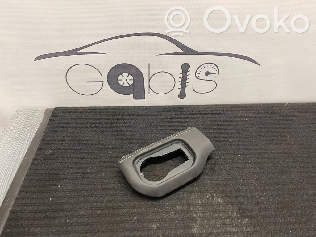 Dodge RAM Panel trim 