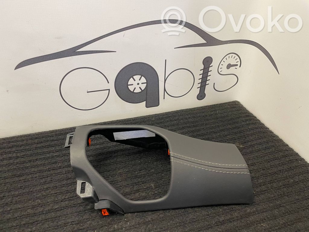 Dodge RAM Panel trim 
