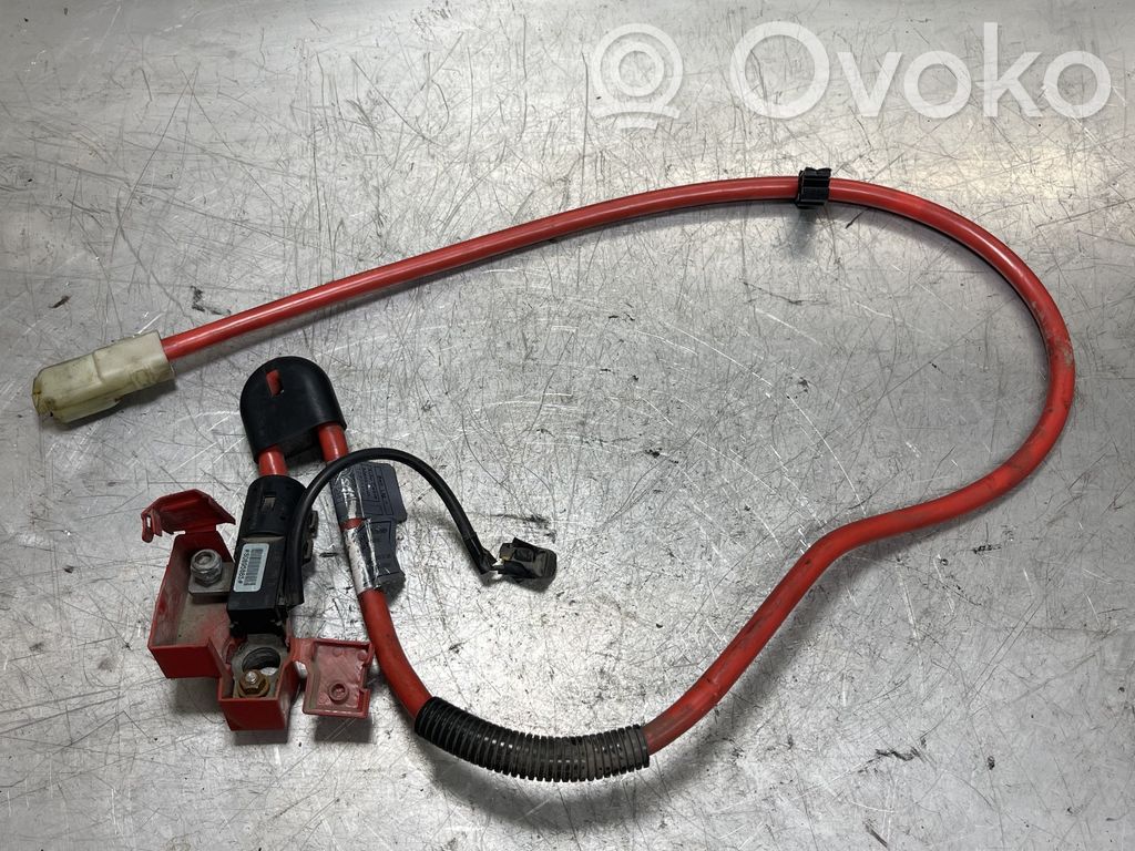 Positive cable (battery)   6944535