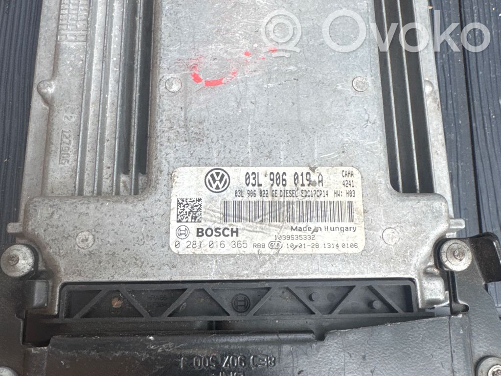 Seat Exeo (3R) Engine control unit/module 