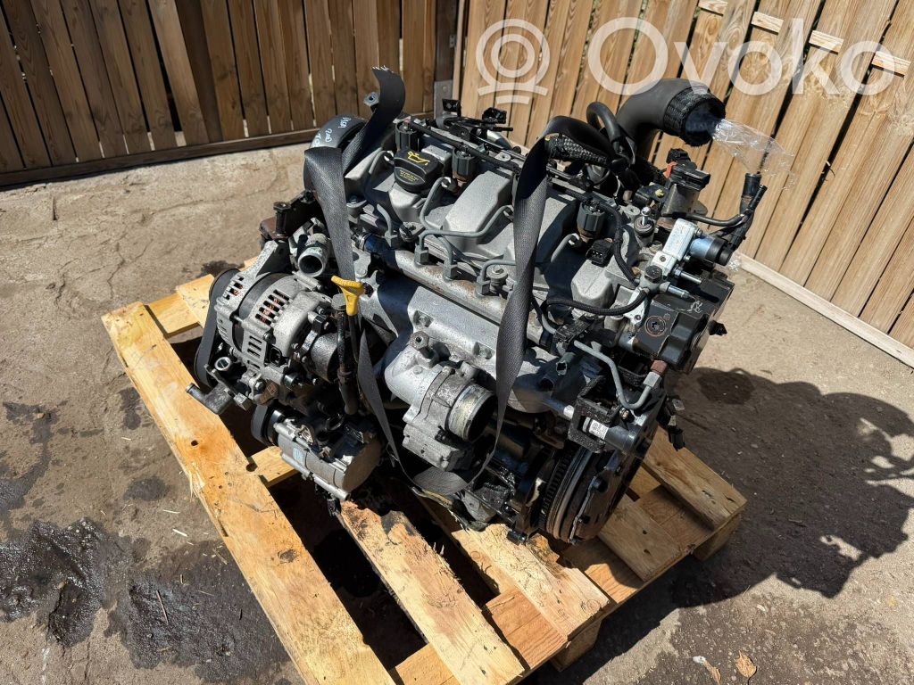 Variklis   D4EA