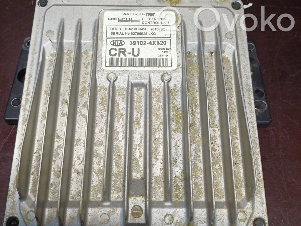 KIA Carnival Engine control unit/module 