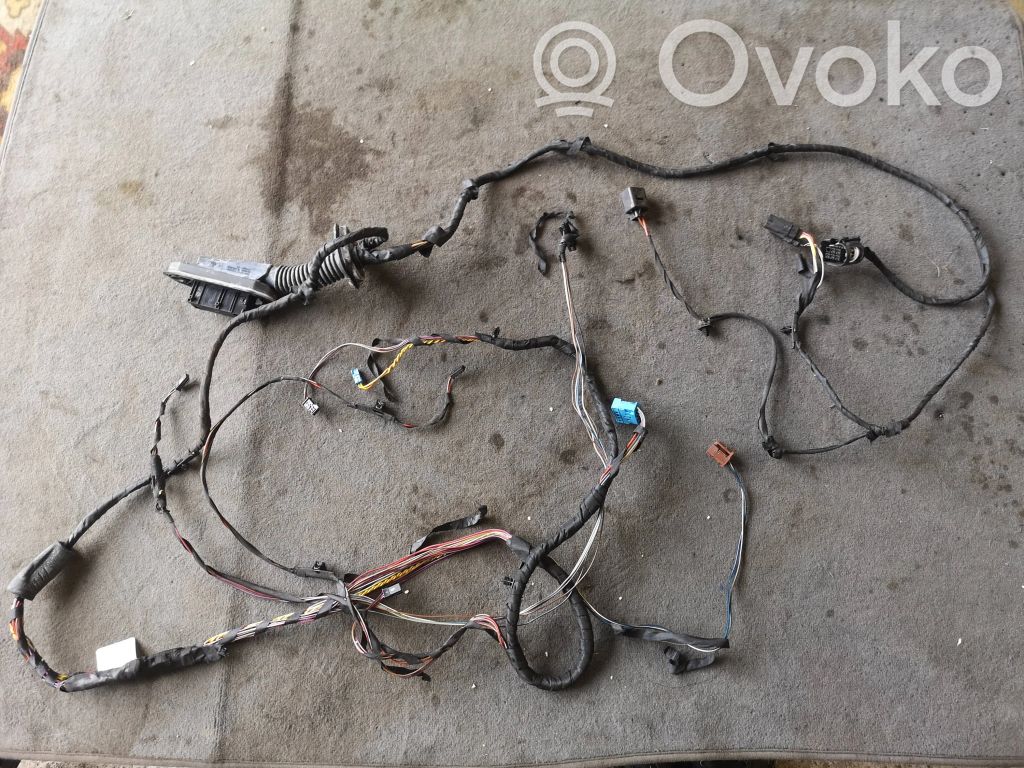BMW 7 F01 F02 F03 F04 Cablaj ușă spate 