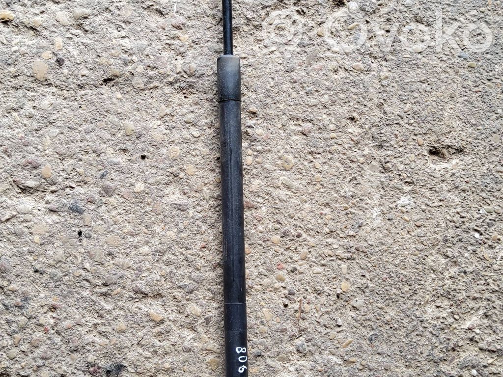 Dodge Durango Tailgate/trunk strut/damper 