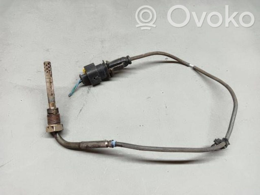 Abgastemperatursensor   1821368L60