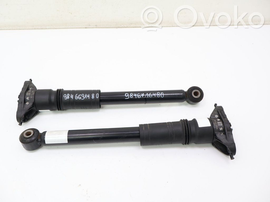 Jeep Avenger Amortizor spate 
