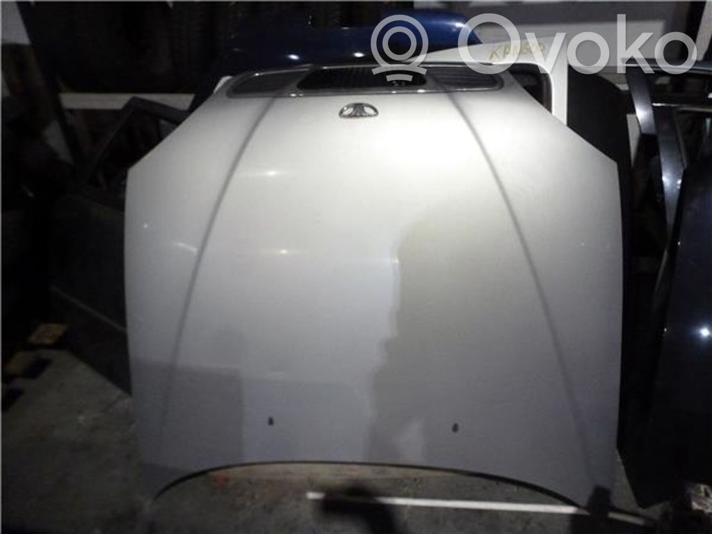 Engine bonnet/hood