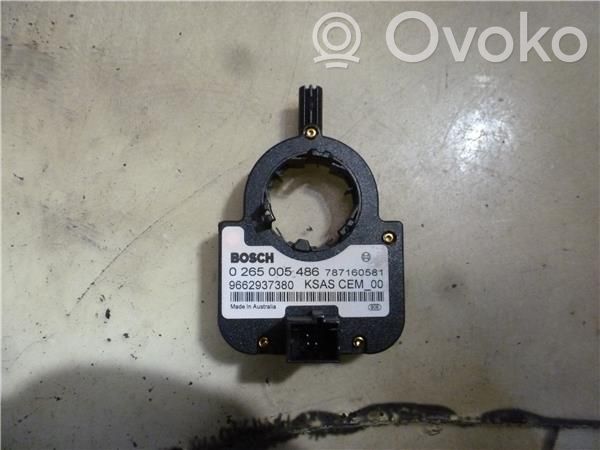 Citroen C4 I Picasso Turvatyynyn liukurenkaan sytytin (SRS-rengas) 