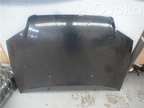 Chevrolet Kalos Dzinēja pārsegs (vāks) 