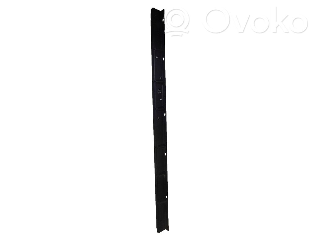 BMW X5 E53 Sill supporting ledge 