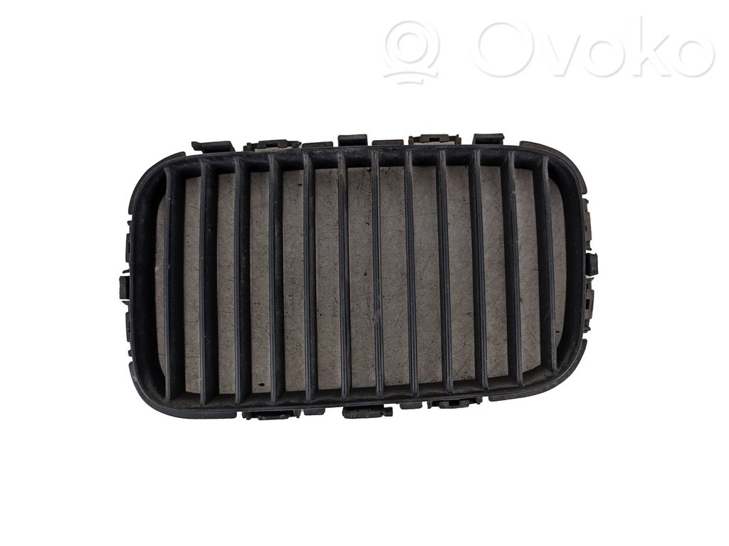 Front grill   51138122237