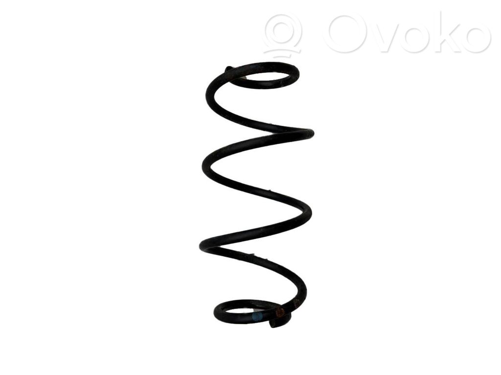 Rear coil spring
