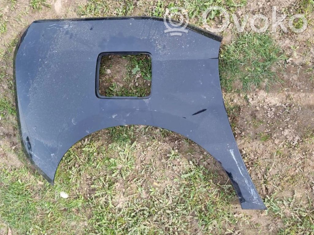 BMW i3 Kita išorės detalė 