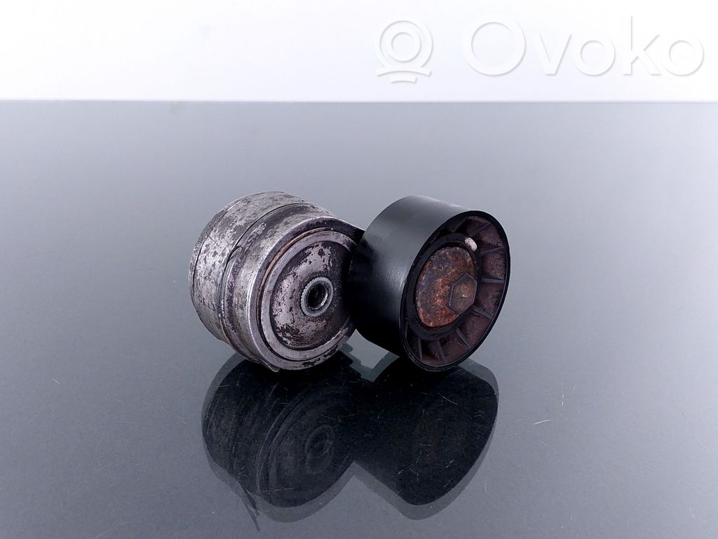 Fiat Panda II Generator/alternator belt tensioner 