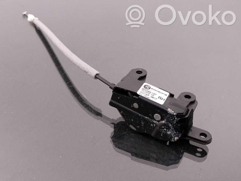 BMW X5 E70 Tailgate/trunk/boot lock/catch/latch 